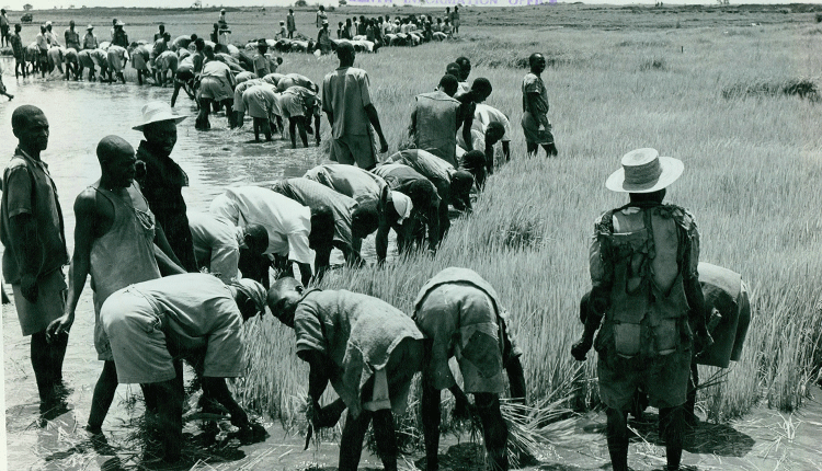 Marking day in Kirinyaga a befitting tribute to Mau Mau