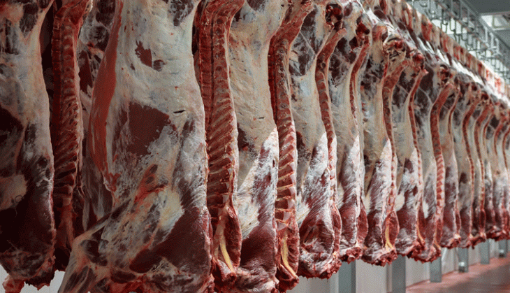 Nakuru butchery shut after rotten meat found