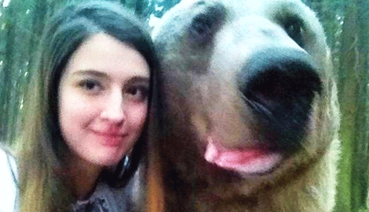 Woman gets 4 days in jail for selfie with bear