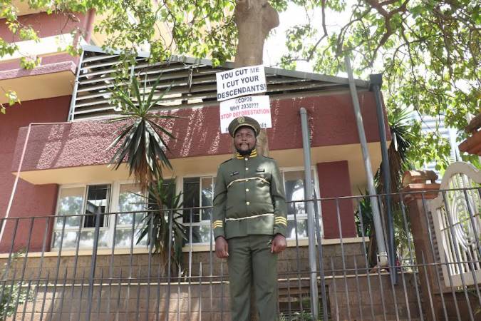 Conservationist ties self on tree to protest deforestation