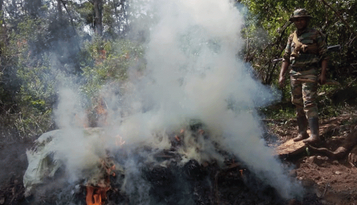 Loggers, charcoal dealers destroy Nyakweri forest