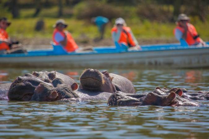 Development projects threaten Naivasha  water quality, supply