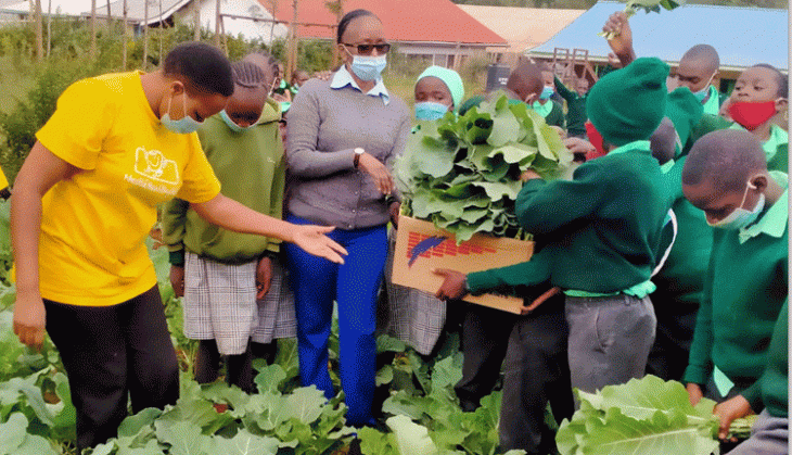 School gardens feed children with food and knowledge