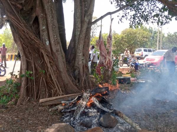 Elders hold ritual to allow cutting of Mugumo tree