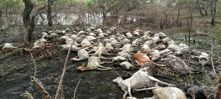 Rains wrecks havoc to Chyulu farmers in Kajiado