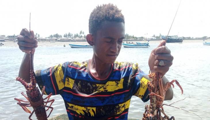 Lamu fishermen to benefit from access to new global lobster markets