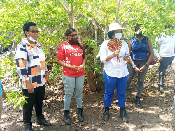 Regional MPs root for mangroves conservation