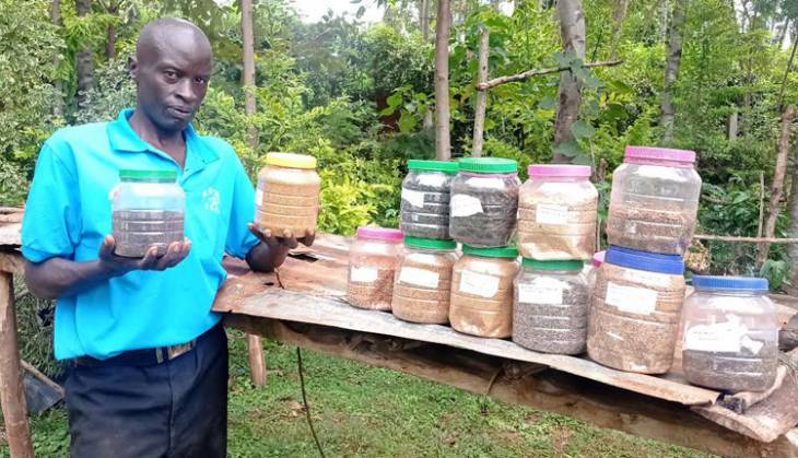 Vihiga farmers cash in on multiplying indigenous vegetable seeds