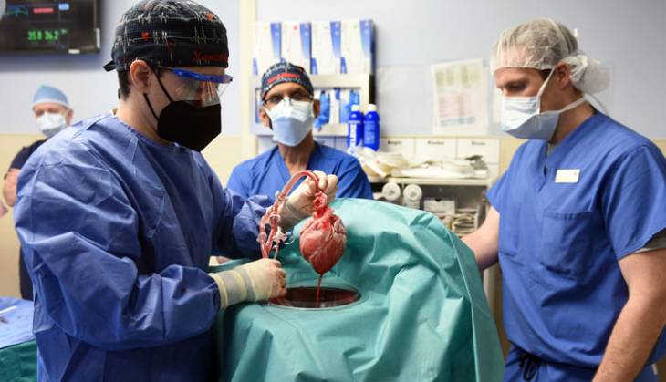 Breakthrough as David Bennett receives pig heart