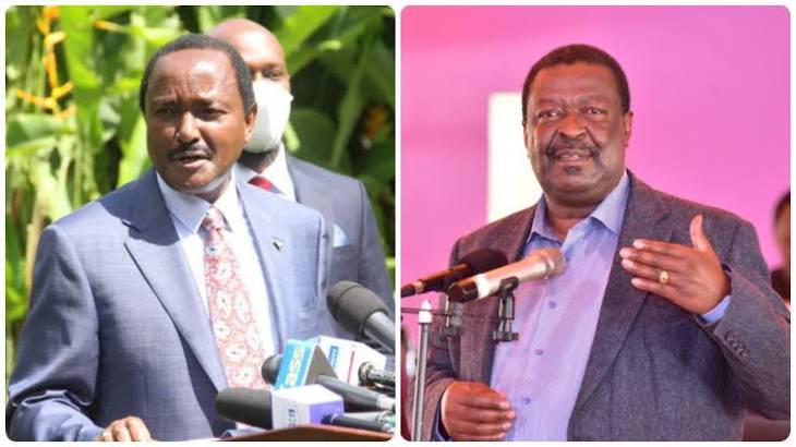 I was to make Mudavadi my running mate, hand over power to him after one term – Kalonzo