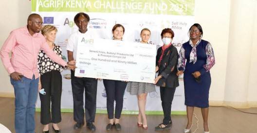 Small agribusinesses find<br>hope after Sh190m boost