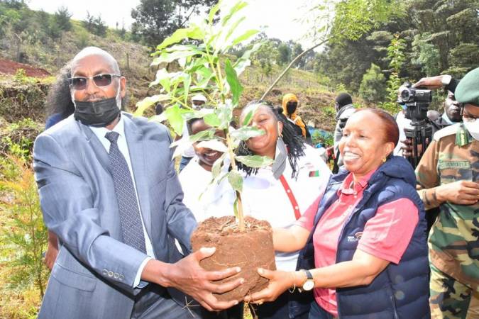 Dump waste on wetlands at own risk, warns Tobiko