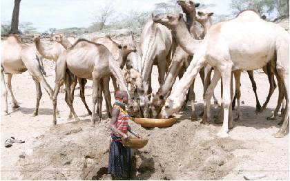 Over 13m face severe hunger in Africa