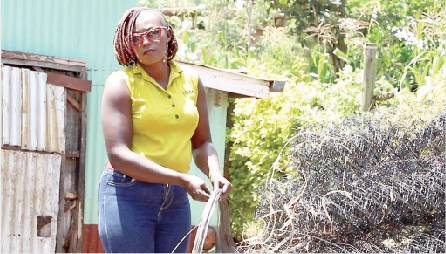 Innovative entrepreneur makes fencing wires from worn-out tyres