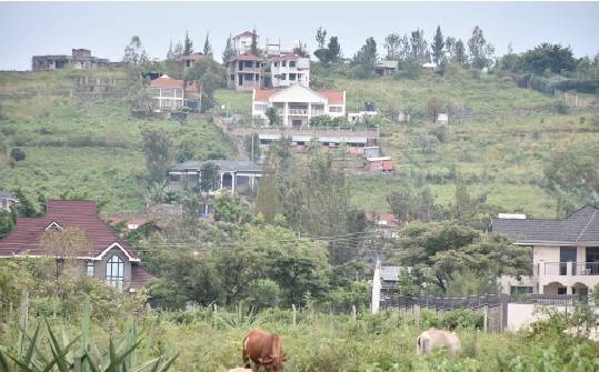 ‘Scenic views’ pursuit destroys vital habitat on Kisumu hills