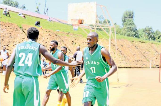 Stray Cats one win away from league title