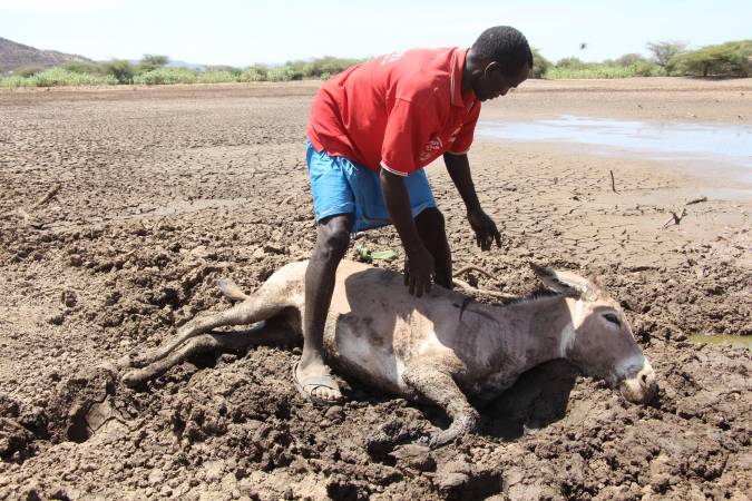 Starvation looms in twelve counties as drought persists