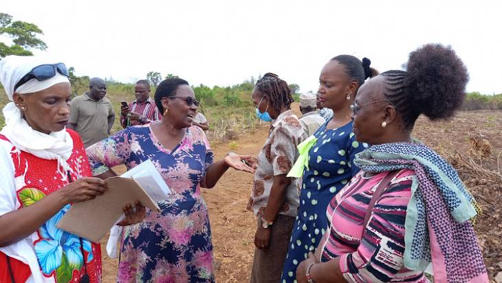 Self-help groups claim  tycoon grabbed their 108-acre land in Kwale