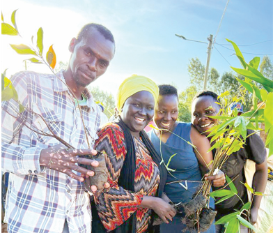 Counting on bamboo to turn water crisis around