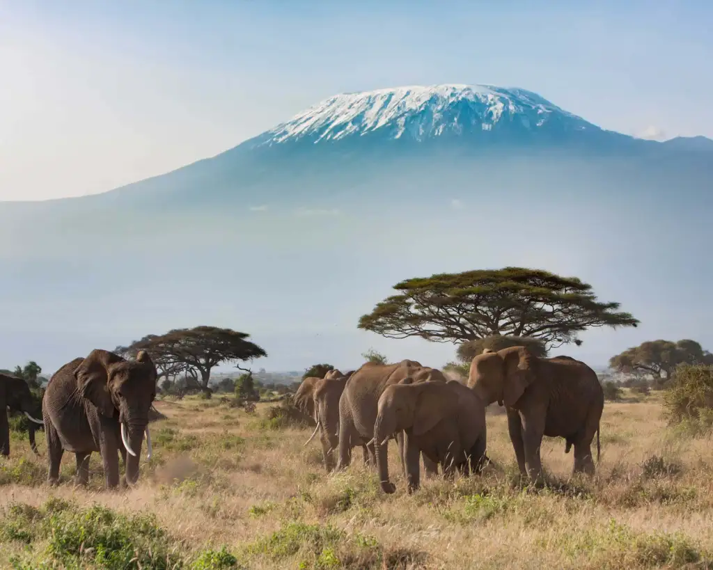 European Tour foreign players treated to Safari experience