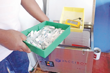 Startup turns to solar for cold chain storage