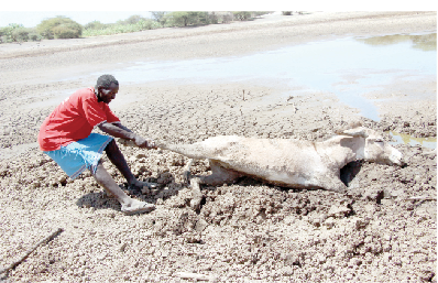 State urged to make adequate investments to address hunger