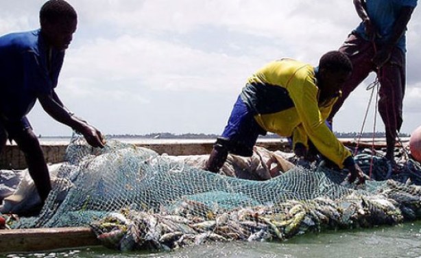 Kenya mulls new strategy to counter illegal fishing