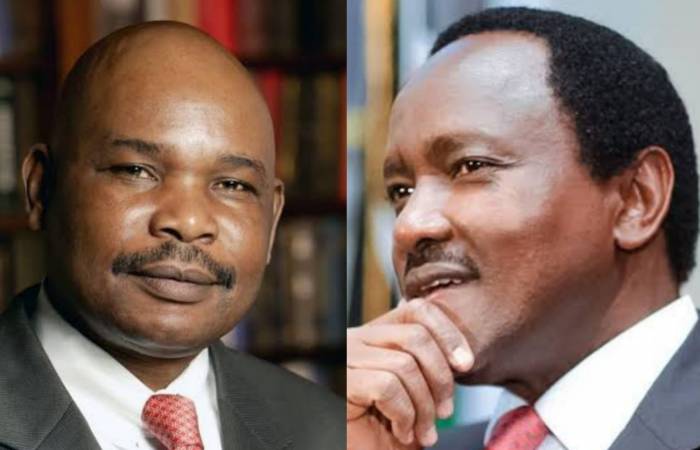 Raila will win elections with or without Kalonzo – Prof Makau Mutua