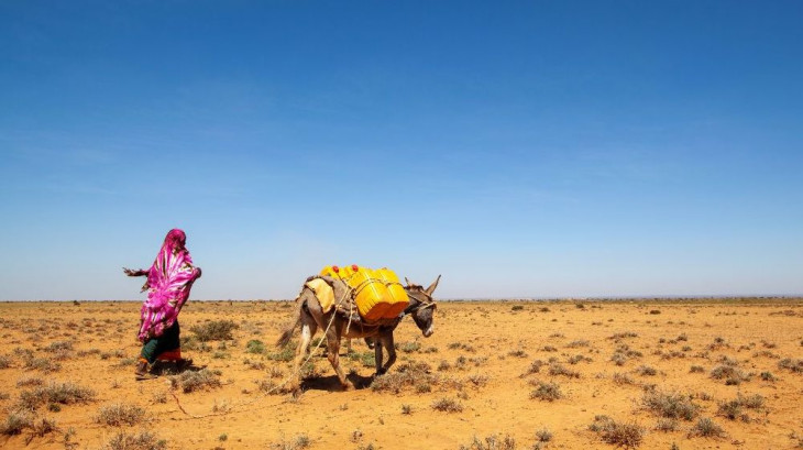 ‘Drought tsunami’ puts 350 million at starvation risk