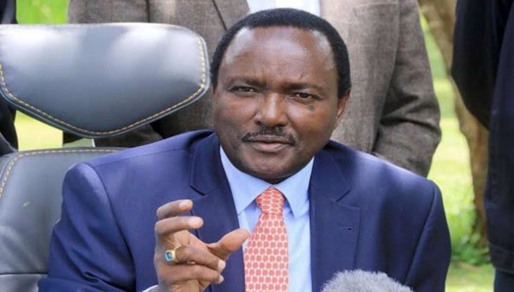 Wiper party leader Kalonzo Musyoka.