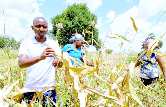 Focus on climate risks insurance ahead of Nairobi event