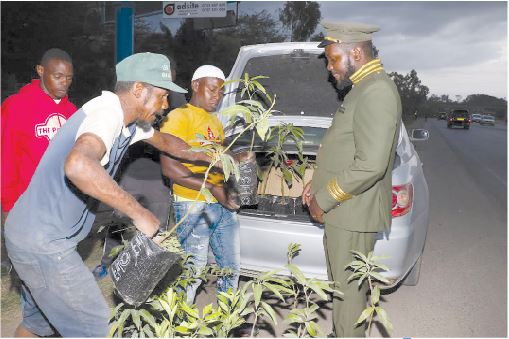 Young environmentalist on mission to restore forest cover in Eastern region