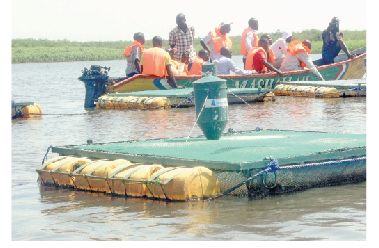 Busia fishing enterprise changes residents’ lives