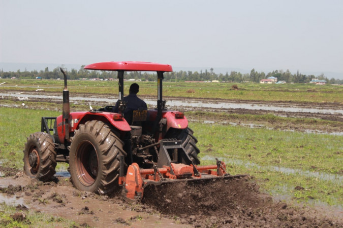 Nyando rice farmers reap big from expanded irrigation plan