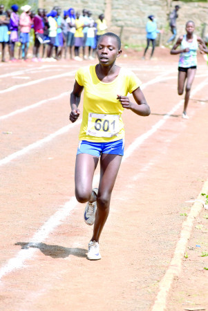 Chepng’eno, Kemboi rule school games