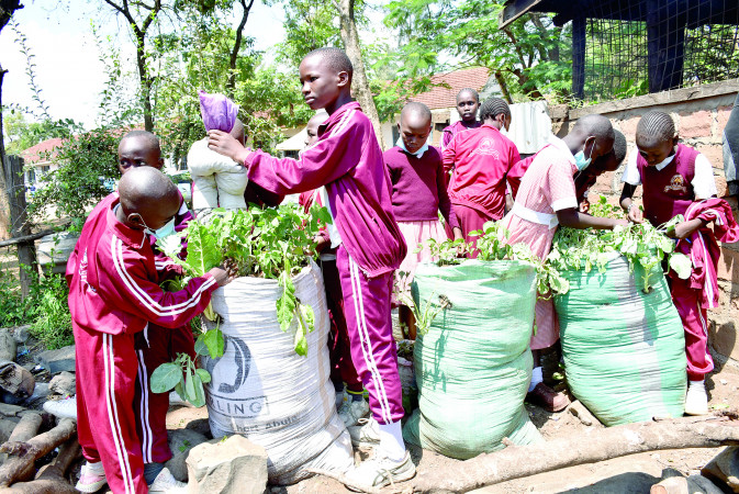 Ministry should revisit plans to domicile JSS in existing secondary schools