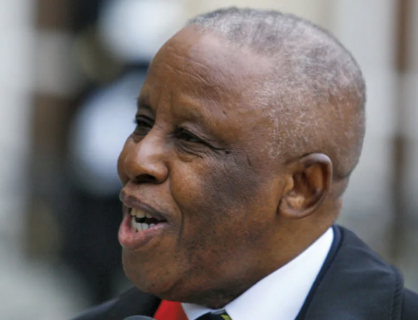 Ex-Botswana President to head observer group