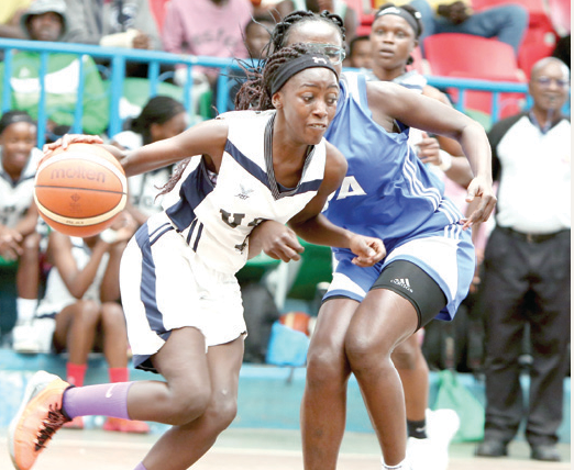 University of Nairobi Terror cause tremor in basketball league