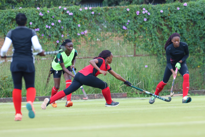 Revive dwindling fortunes of hockey