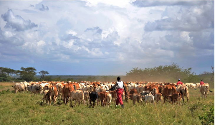 A short 100-year EA history of forcible Maasai evictions