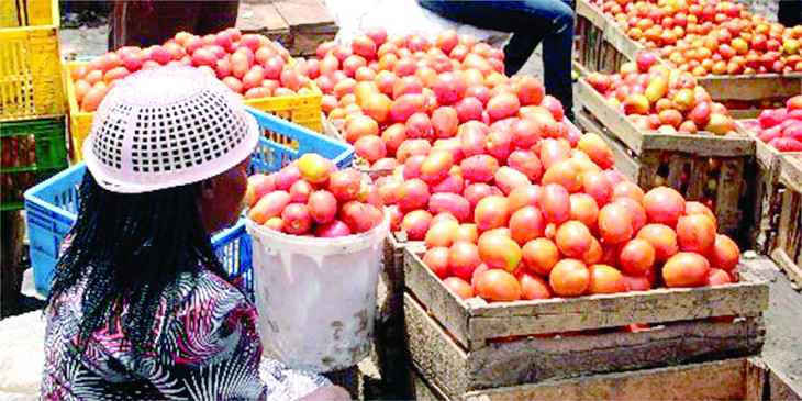 Relief for consumers as prices of food, oil continue to cool down