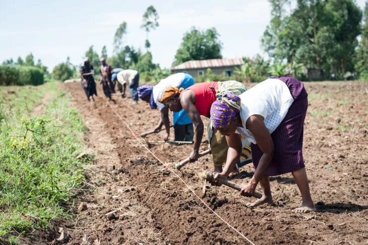 Treasury releases Sh3.6b for fertiliser subsidy plan