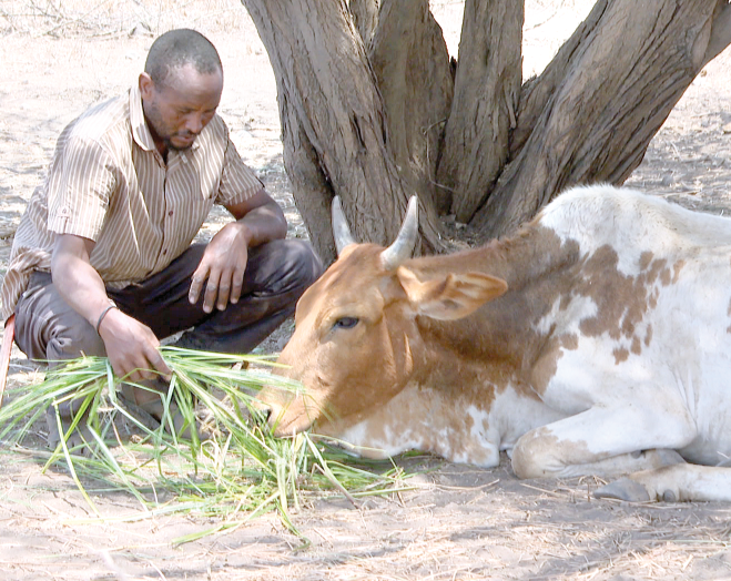 A walk in Kajiado’s valley of death where drought prowls