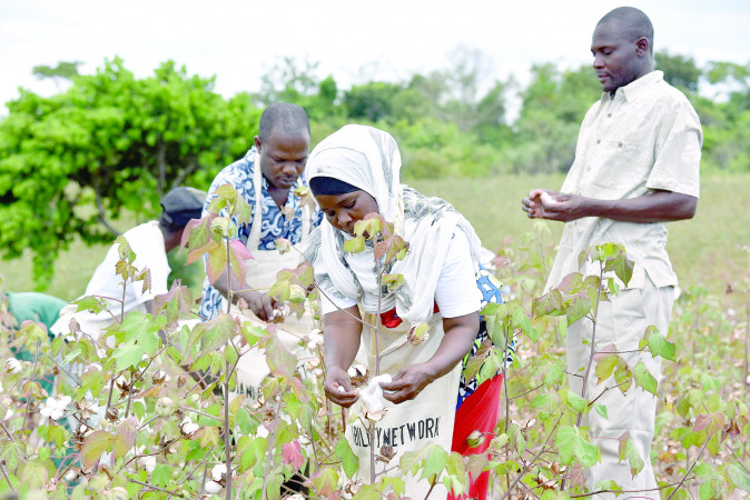 Farmers in Kwale push for ginnery completion