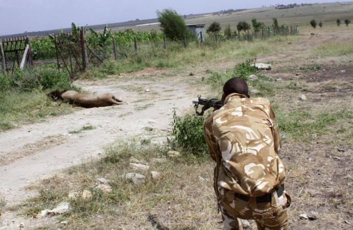 Working without salary pays off for wildlife ranger