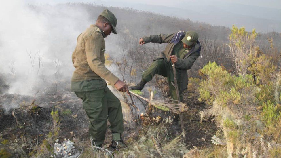 Mount Kilimanjaro fire under control: Tanzanian authorities