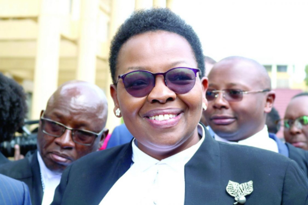 Confusion at Nairobi Assemby as UDA claims majority status