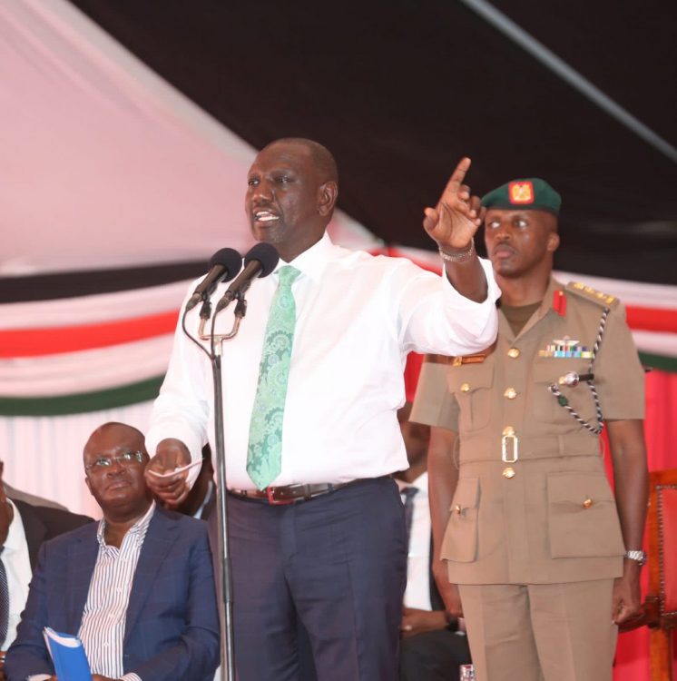 Ruto: Give me 1 year to reduce unga prices