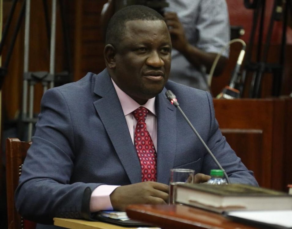 Mining CS nominee Mvurya: Most of my wealth comes from land and houses