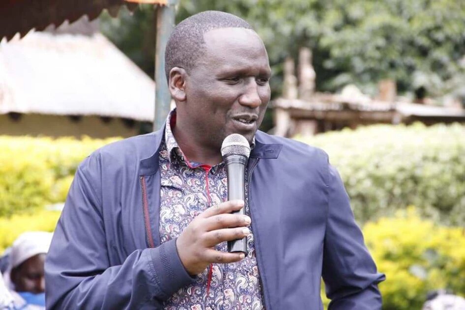 Kericho senator demands judges to incorporate public participation before making judgements on Ruto’s projects